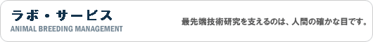 Ǘ